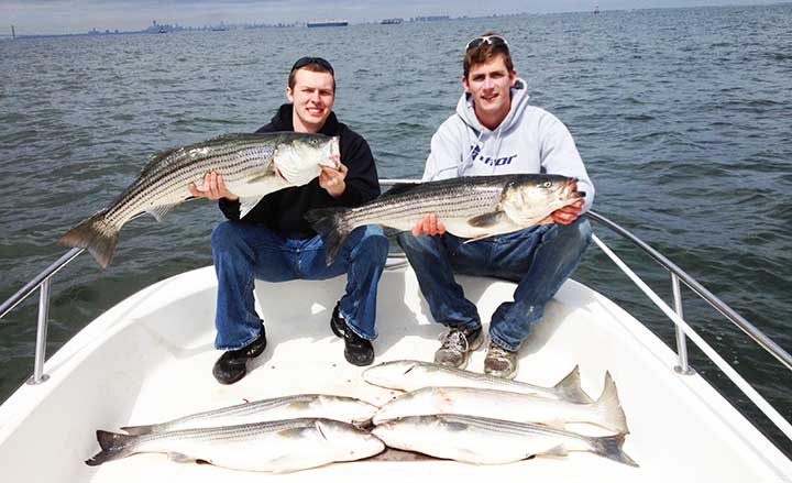 https://www.globalfishingreports.com/wp-content/uploads/2017/12/limit-of-striped-bass-caught-on-the-best-striped-bass-lures.jpg