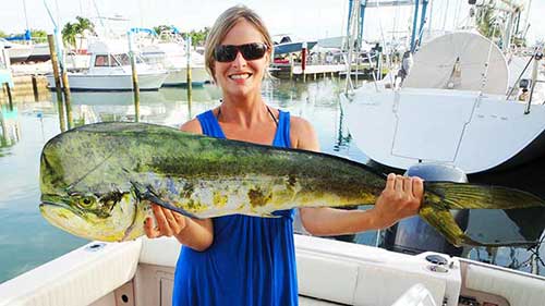  najlepsze Mahi-Mahi lures post