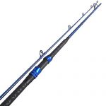 24 Best Surf Fishing Rods In 2023 | By Captain Cody