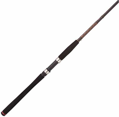 Best Saltwater Fishing Rods In By Captain Cody