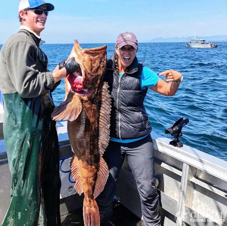 How to Catch Lingcod | By Captain Cody